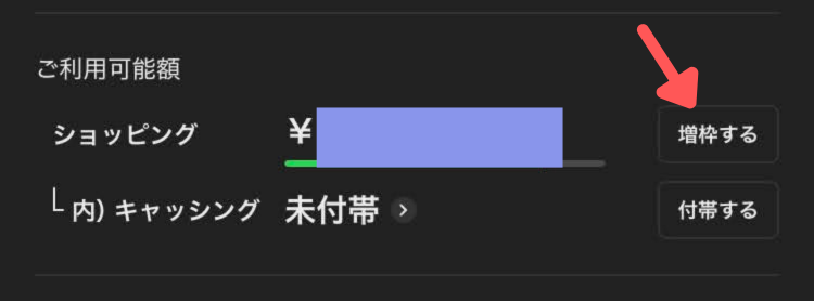 増額申請の例（楽天カード）