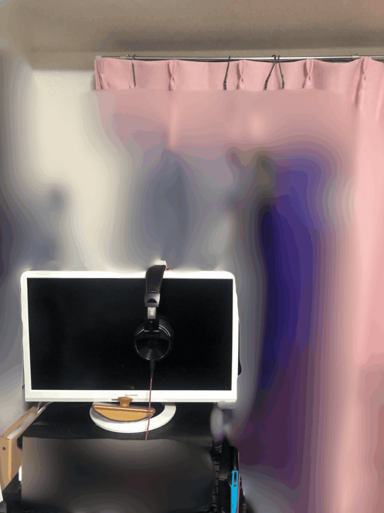 グッズ厨時代の部屋