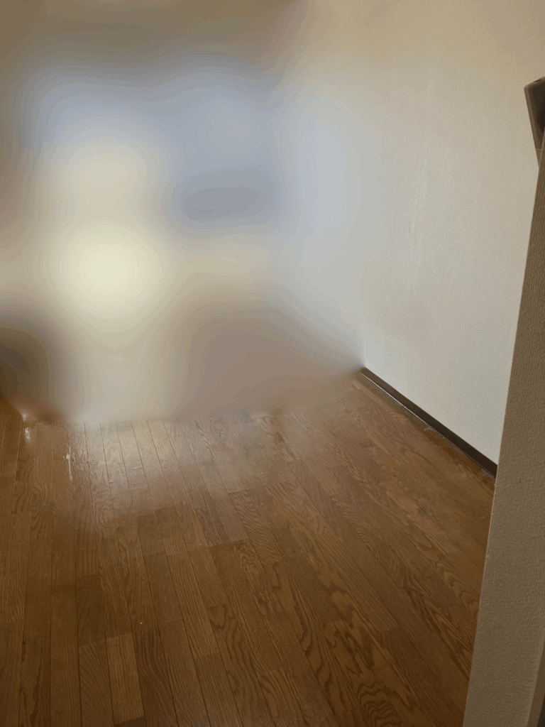 引っ越し前の部屋